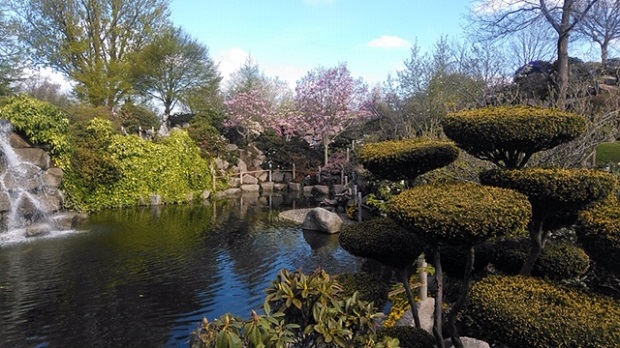 Danske Seniorer besøger Zen Garten med blomster, sten og fisk